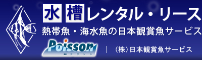 水槽レンタル・リース　熱帯魚・海水魚の日本観賞魚サービス