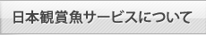 日本観賞魚サービスについて