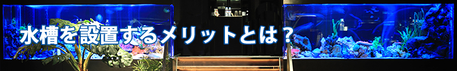 水槽を設置するメリットとは？