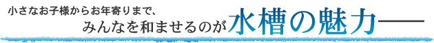 小さなお子様からお年寄りまで、みんなを和ませるのが水槽の魅力