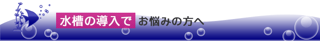 水槽の導入でお悩みの方へ
