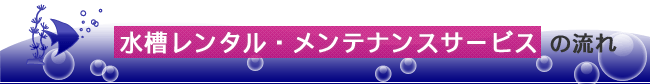水槽レンタル・メンテナンスサービスの流れ