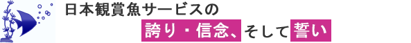 あらゆるご要望にお応えできる、豊富なサイズ・デザインの水槽をご提案します