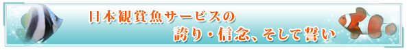 日本観賞魚サービスの誇り・信念、そして誓い