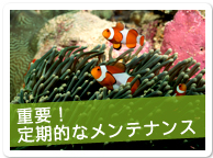 重要！定期的なメンテナンス
